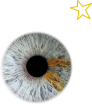 eye